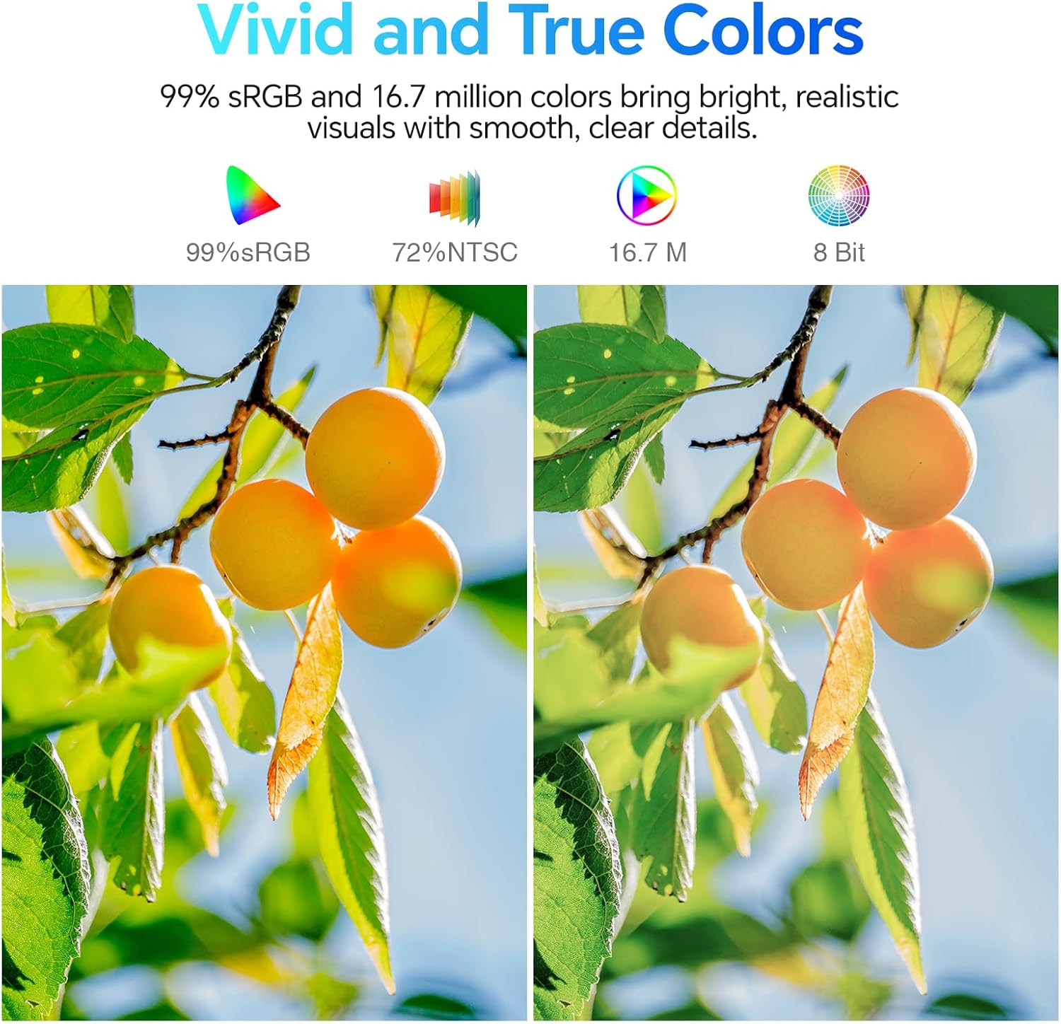 KOORUI E2212F 22-inch VA FHD 100Hz Business Monitor