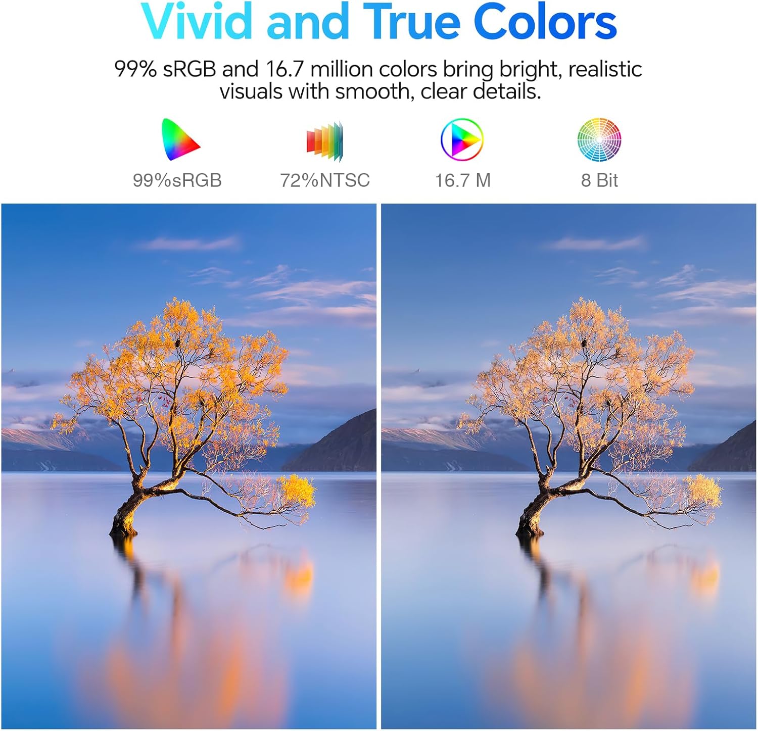 KOORUI E2411H 24-inch IPS FHD 120Hz Business Monitor